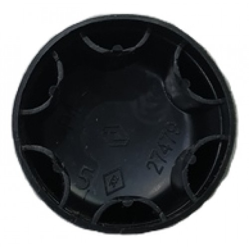 Tampa Parafuso Braço Limpador Renault Duster 2024 A6576